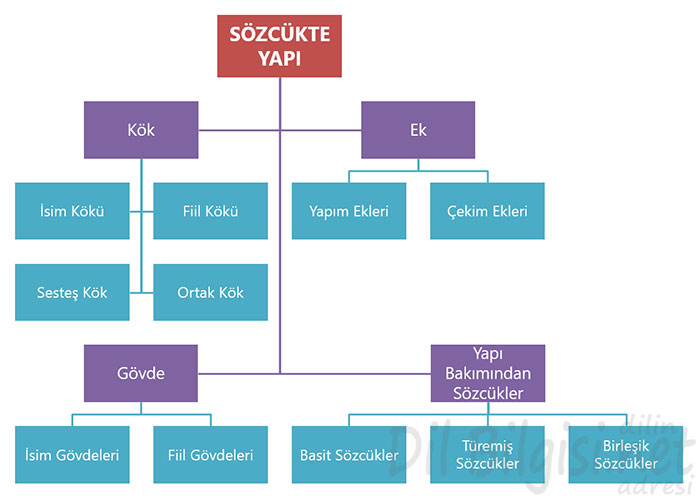 Sozcukte Yapi Konu Anlatimi Dilbilgisi Net