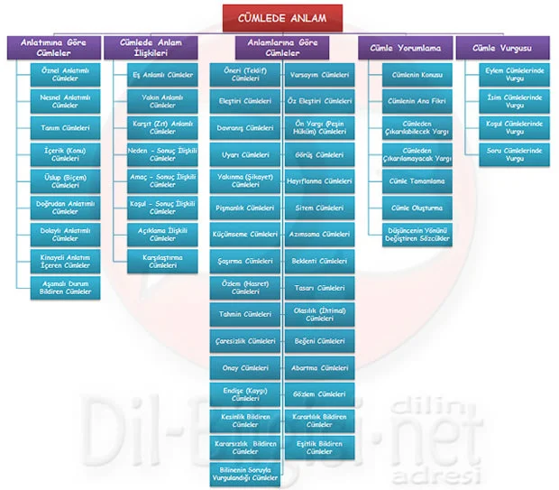 Cümlede Anlam Kavram Haritası