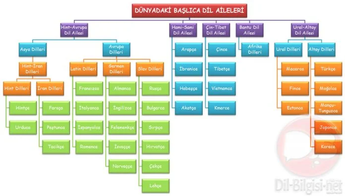 Dünyadaki Başlıca Dil Aileleri Kavram Haritası