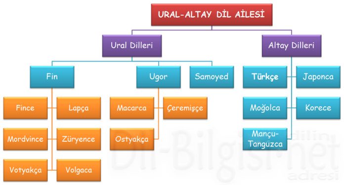 Ural-Altay-Dil-Ailesi-Kavram-Haritasi