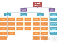 Edebi Türler Kavram Haritası