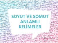 Somut ve Soyut Anlamlı Kelimeler