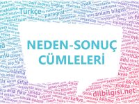 Neden Sonuç sebep sonuç cümleleri