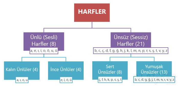 Harfler Kavram Haritası, şeması, tablosu