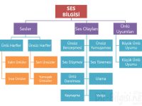 Ses Bilgisi Kavram Haritası