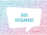 Ses Düşmesi - Ünlü Düşmesi