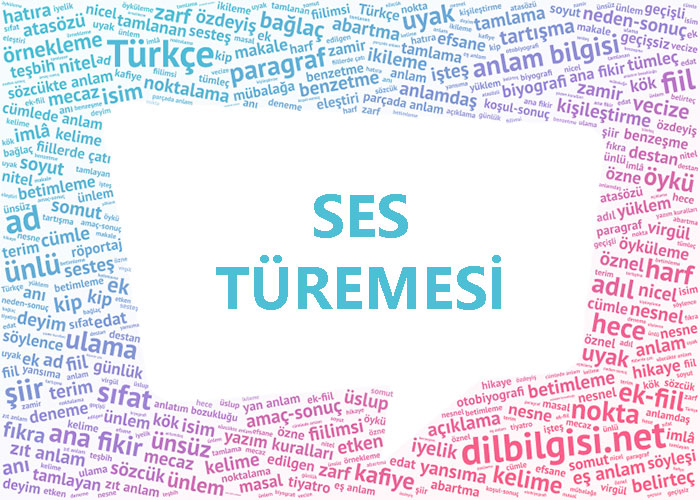 Ses Türemesi - Ünlü türemesi - ünsüz türemesi