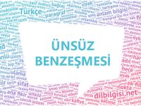 Ünsüz Benzeşmesi - Ünsüz sertleşmesi