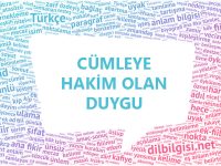 Cümleye Hakim Olan Duygu