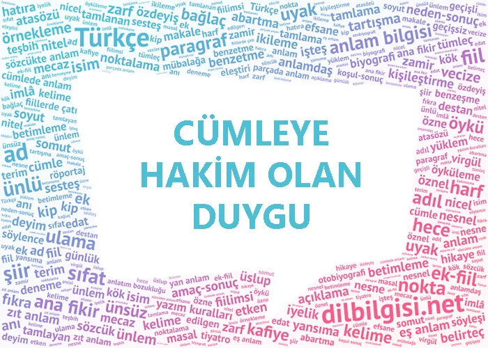 Cümleye Hakim Olan Duygu