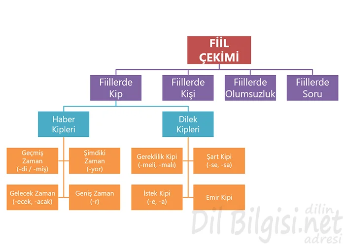 Fiil Çekimi Kavram Haritası