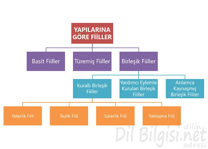 Yapılarına Göre Fiiller Kavram Haritası