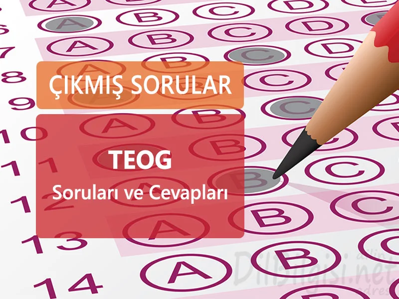 TEOG OGES Soruları cevapları