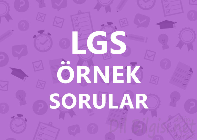 LGS Örnek Sorular