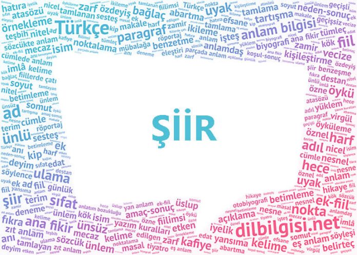 Şiir nedir