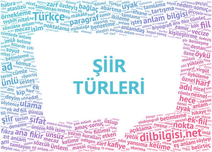 Şiir Türleri