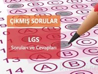 LGS soruları ve Cevapları, lgs çıkmış sorular