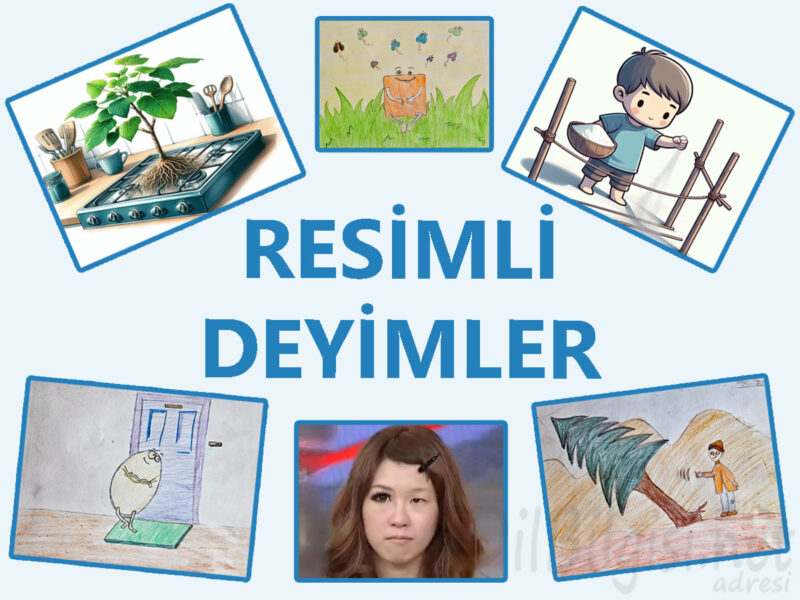 Resimli Deyimler ve Anlamları